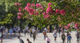 Students crossing the campus 